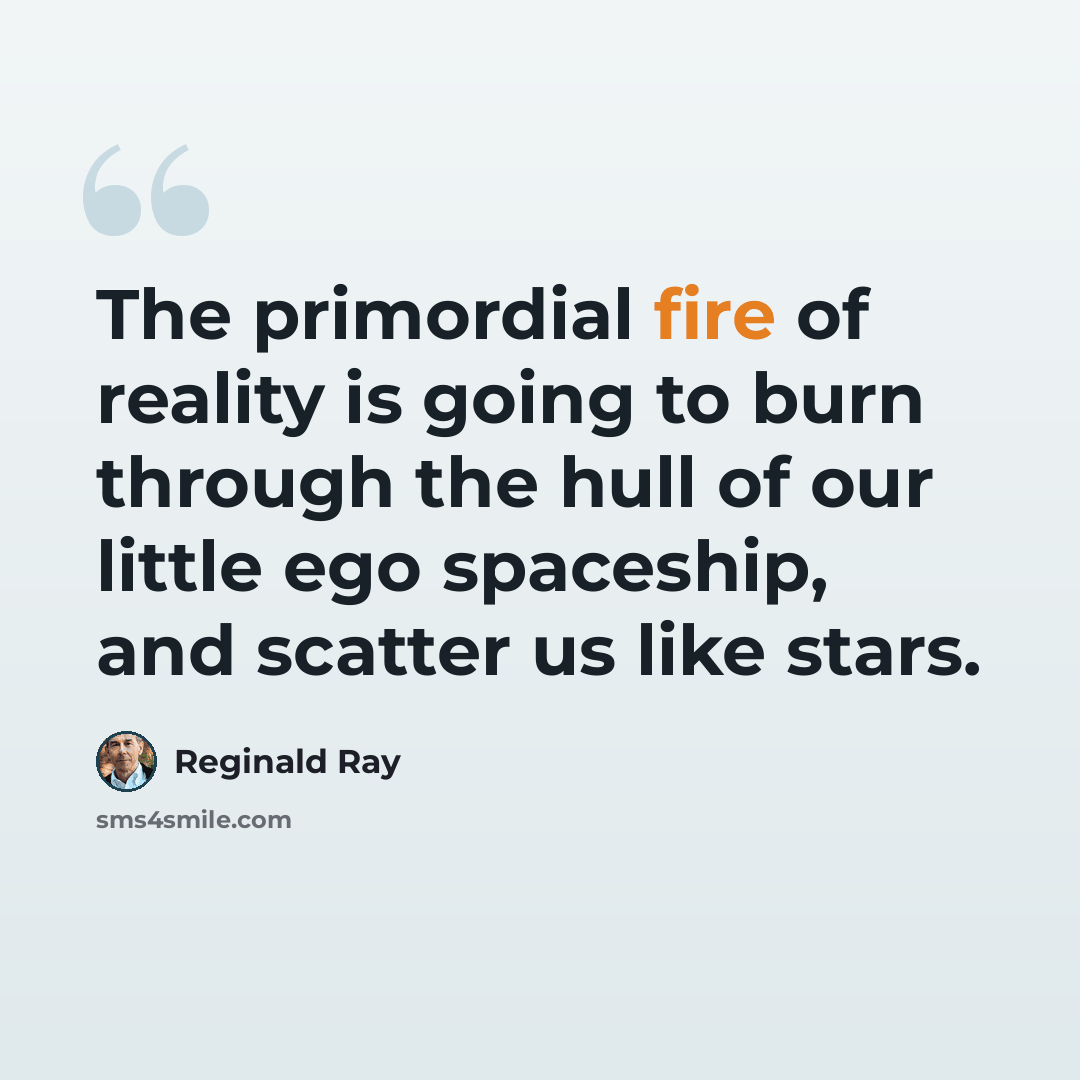 “The primordial fire of reality is going to burn through the hull of our little ego spaceship, and scatter us like stars.” quote by Reginald Ray
