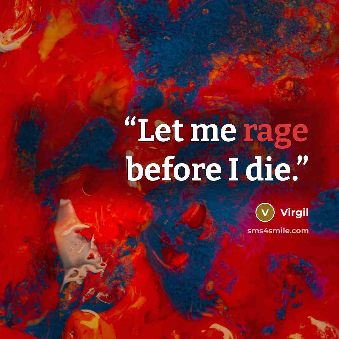 “Let me rage before I die.” quote by Virgil
