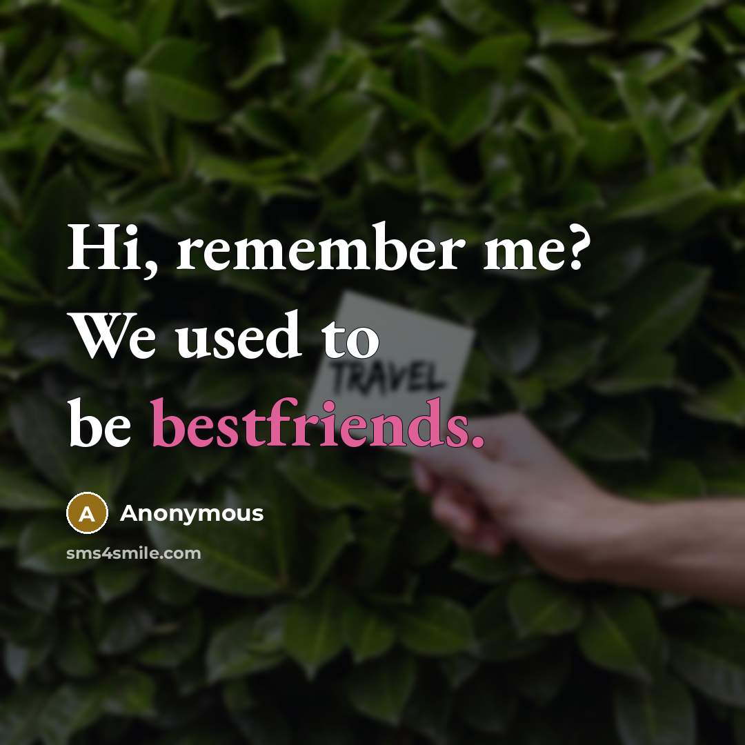 “Hi, remember me? We used to be bestfriends.” quote by Anonymous