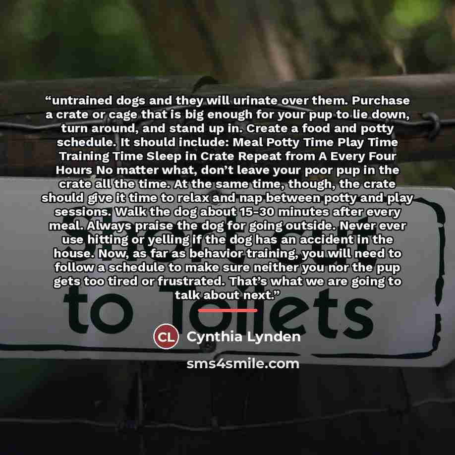 “untrained dogs and they will urinate over them. Purchase a crate or cage that is big enough for your pup to lie down, turn around, and stand up in. Create a food and potty schedule. It should include: Meal Potty Time Play Time Training Time Sleep in Crate Repeat from A Every Four Hours No matter…” quote by Cynthia Lynden