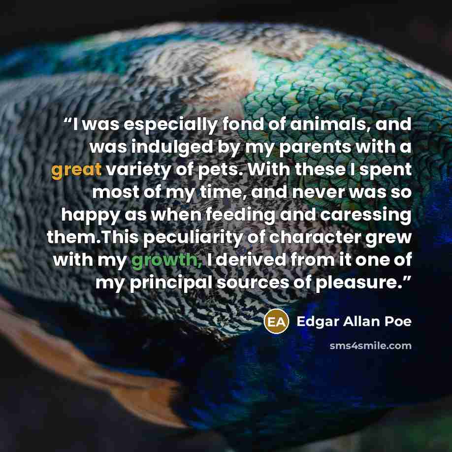 “I was especially fond of animals, and was indulged by my parents with a great variety of pets. With these I spent most of my time, and never was so happy as when feeding and caressing them.This peculiarity of character grew with my growth, I derived from it one of my principal sources of pleasure.” quote by Edgar Allan Poe
