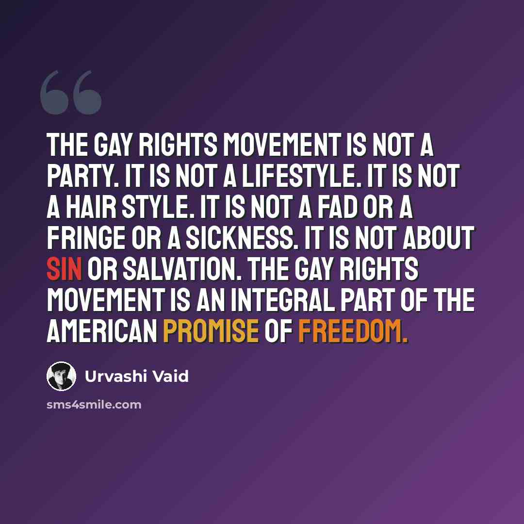 “The gay rights movement is not a party. It is not a lifestyle. It is not a hair style. It is not a fad or a fringe or a sickness. It is not about sin or salvation. The gay rights movement is an integral part of the American promise of freedom.” quote by Urvashi Vaid