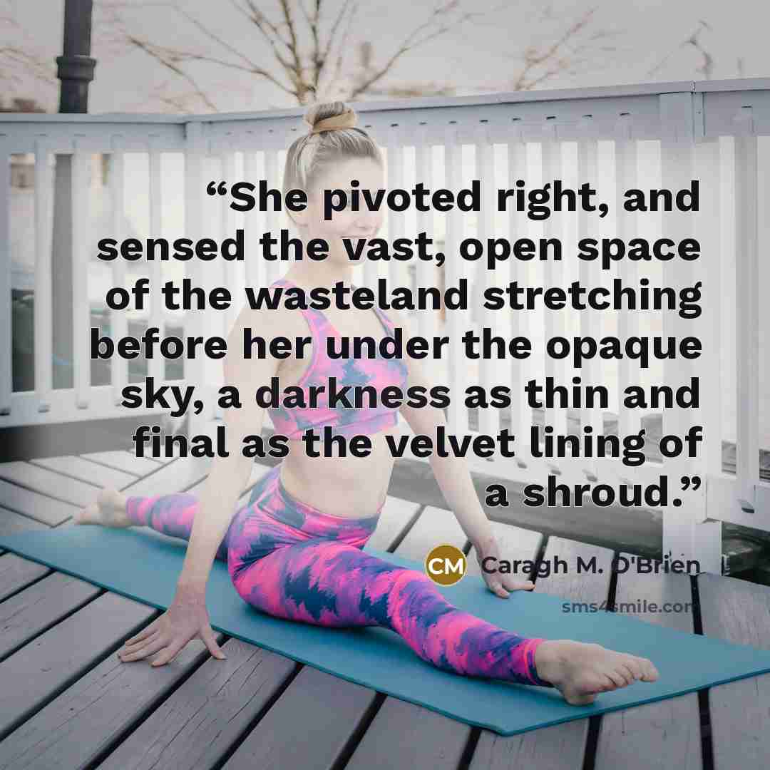 “She pivoted right, and sensed the vast, open space of the wasteland stretching before her under the opaque sky, a darkness as thin and final as the velvet lining of a shroud.” quote by Caragh M. O'Brien
