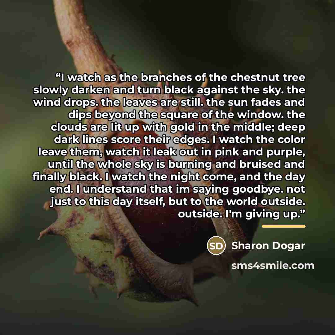 “I watch as the branches of the chestnut tree slowly darken and turn black against the sky. the wind drops. the leaves are still. the sun fades and dips beyond the square of the window. the clouds are lit up with gold in the middle; deep dark lines score their edges. I watch the color leave them…” quote by Sharon Dogar