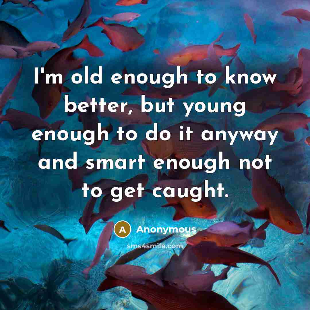 “I'm old enough to know better, but young enough to do it anyway and smart enough not to get caught.” quote by Anonymous