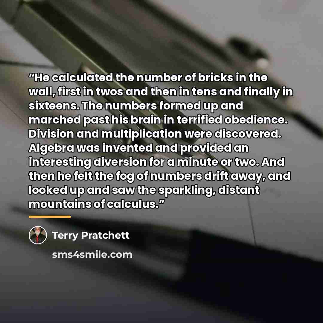 “He calculated the number of bricks in the wall, first in twos and then in tens and finally in sixteens. The numbers formed up and marched past his brain in terrified obedience. Division and multiplication were discovered. Algebra was invented and provided an interesting diversion for a minute or…” quote by Terry Pratchett