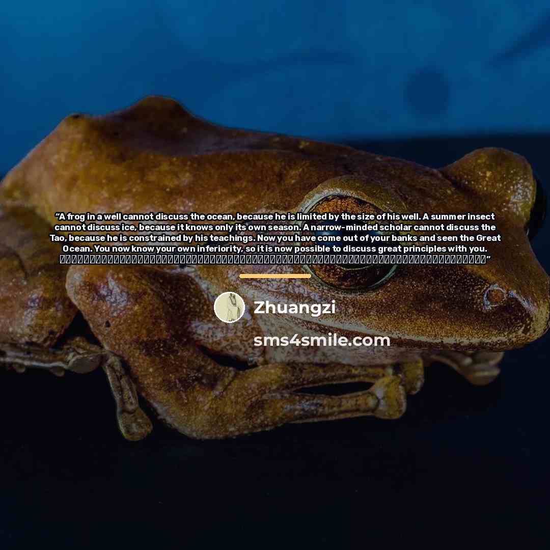 “A frog in a well cannot discuss the ocean, because he is limited by the size of his well. A summer insect cannot discuss ice, because it knows only its own season. A narrow-minded scholar cannot discuss the Tao, because he is constrained by his teachings. Now you have come out of your banks and…” quote by Zhuangzi