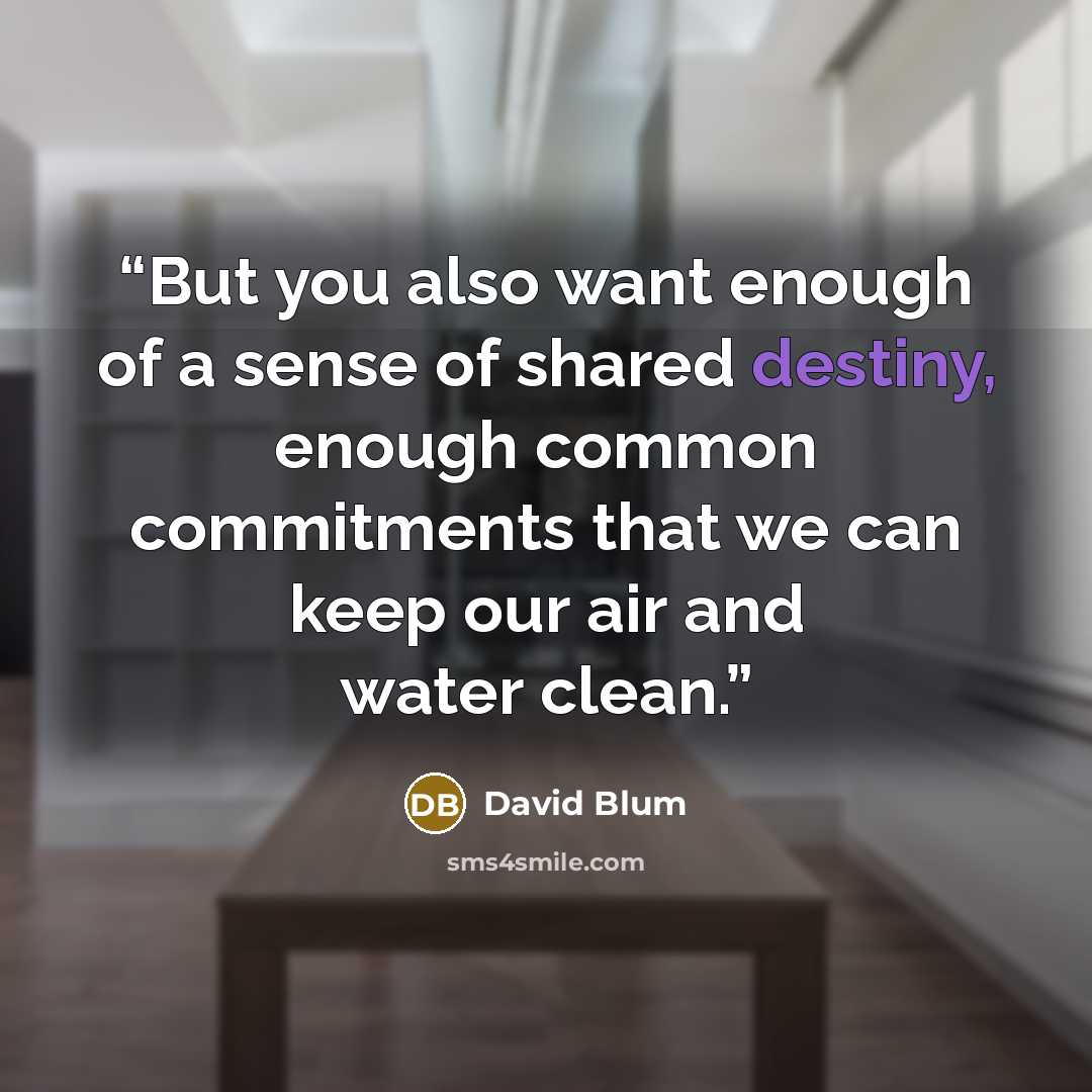 “But you also want enough of a sense of shared destiny, enough common commitments that we can keep our air and water clean.” quote by David Blum