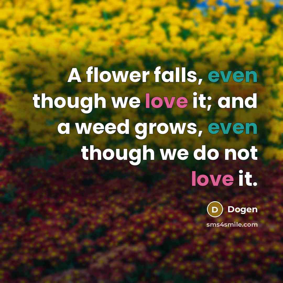 “A flower falls, even though we love it; and a weed grows, even though we do not love it.” quote by Dogen