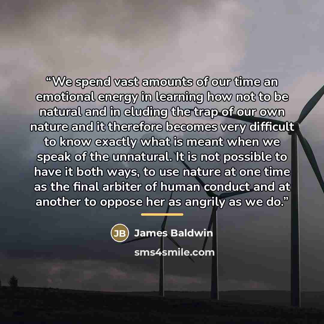 “We spend vast amounts of our time an emotional energy in learning how not to be natural and in eluding the trap of our own nature and it therefore becomes very difficult to know exactly what is meant when we speak of the unnatural. It is not possible to have it both ways, to use nature at one time…” quote by James Baldwin