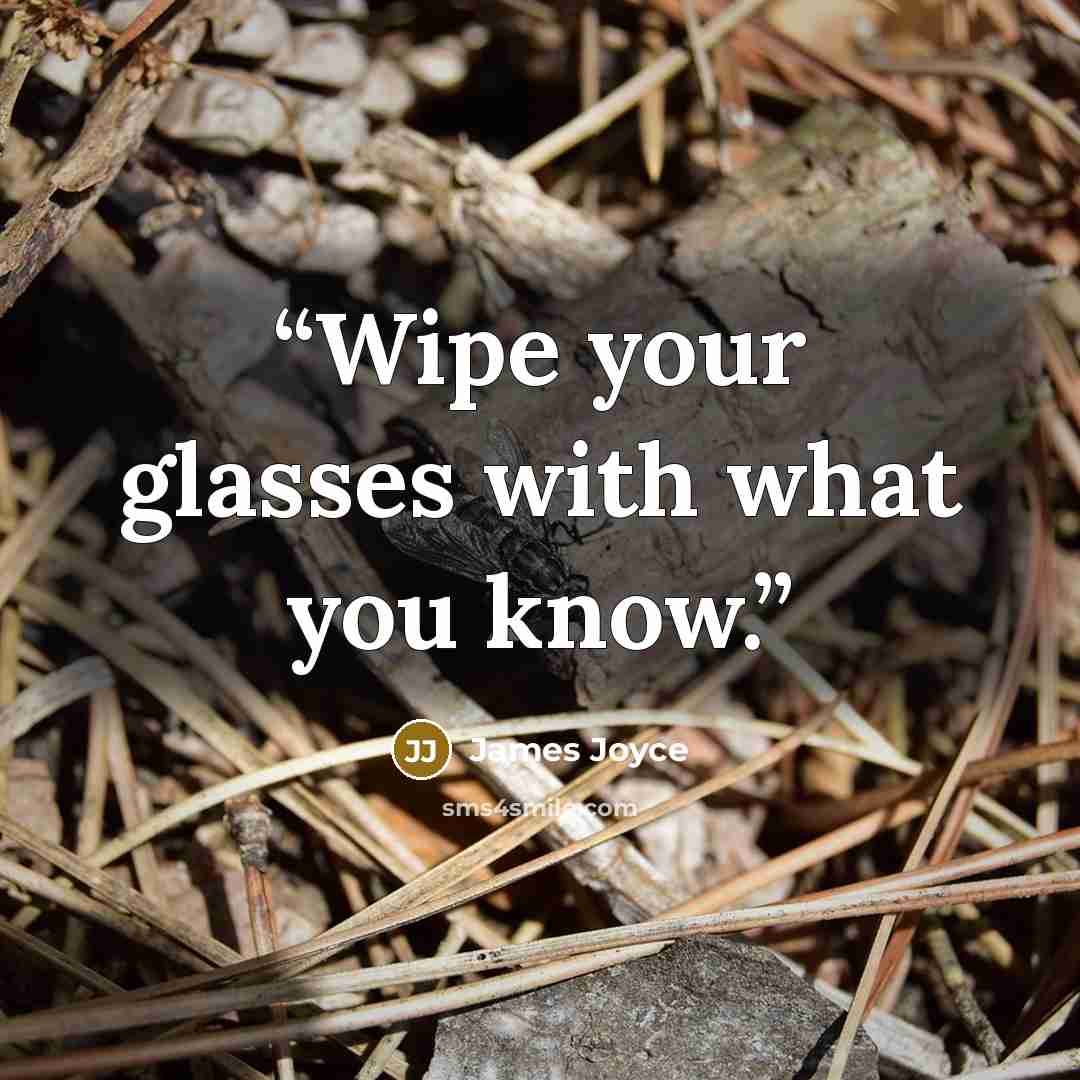 “Wipe your glasses with what you know.” quote by James Joyce