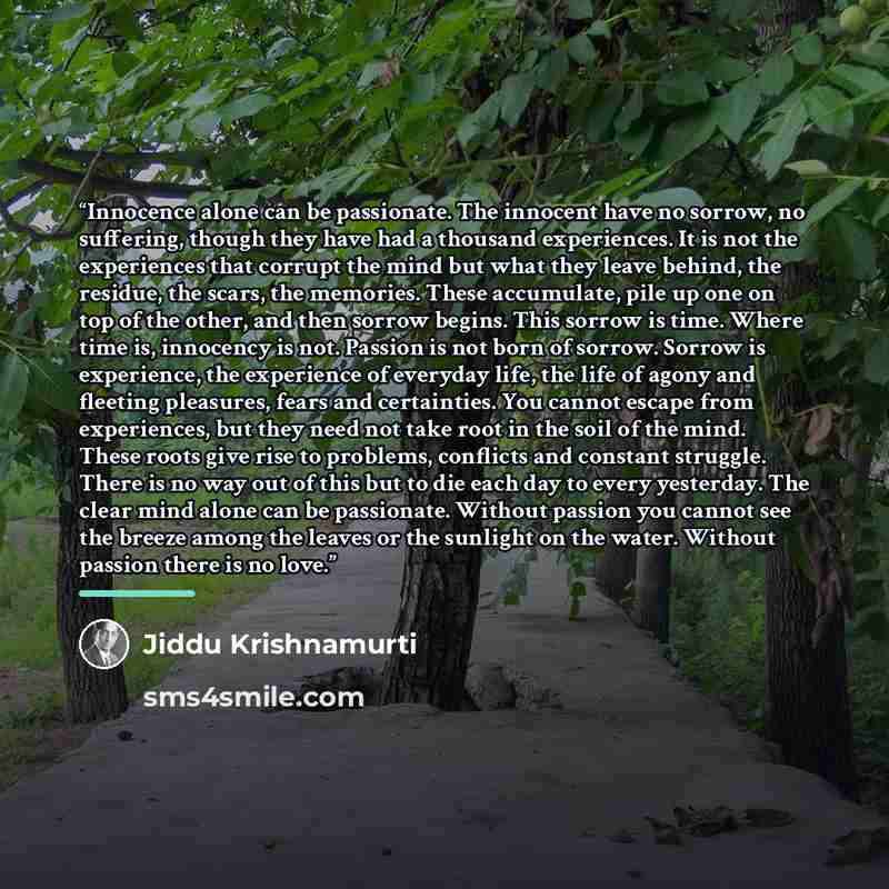 “Innocence alone can be passionate. The innocent have no sorrow, no suffering, though they have had a thousand experiences. It is not the experiences that corrupt the mind but what they leave behind, the residue, the scars, the memories. These accumulate, pile up one on top of the other, and then…” quote by Jiddu Krishnamurti