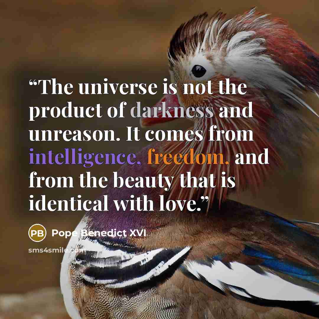 “The universe is not the product of darkness and unreason. It comes from intelligence, freedom, and from the beauty that is identical with love.” quote by Pope Benedict XVI