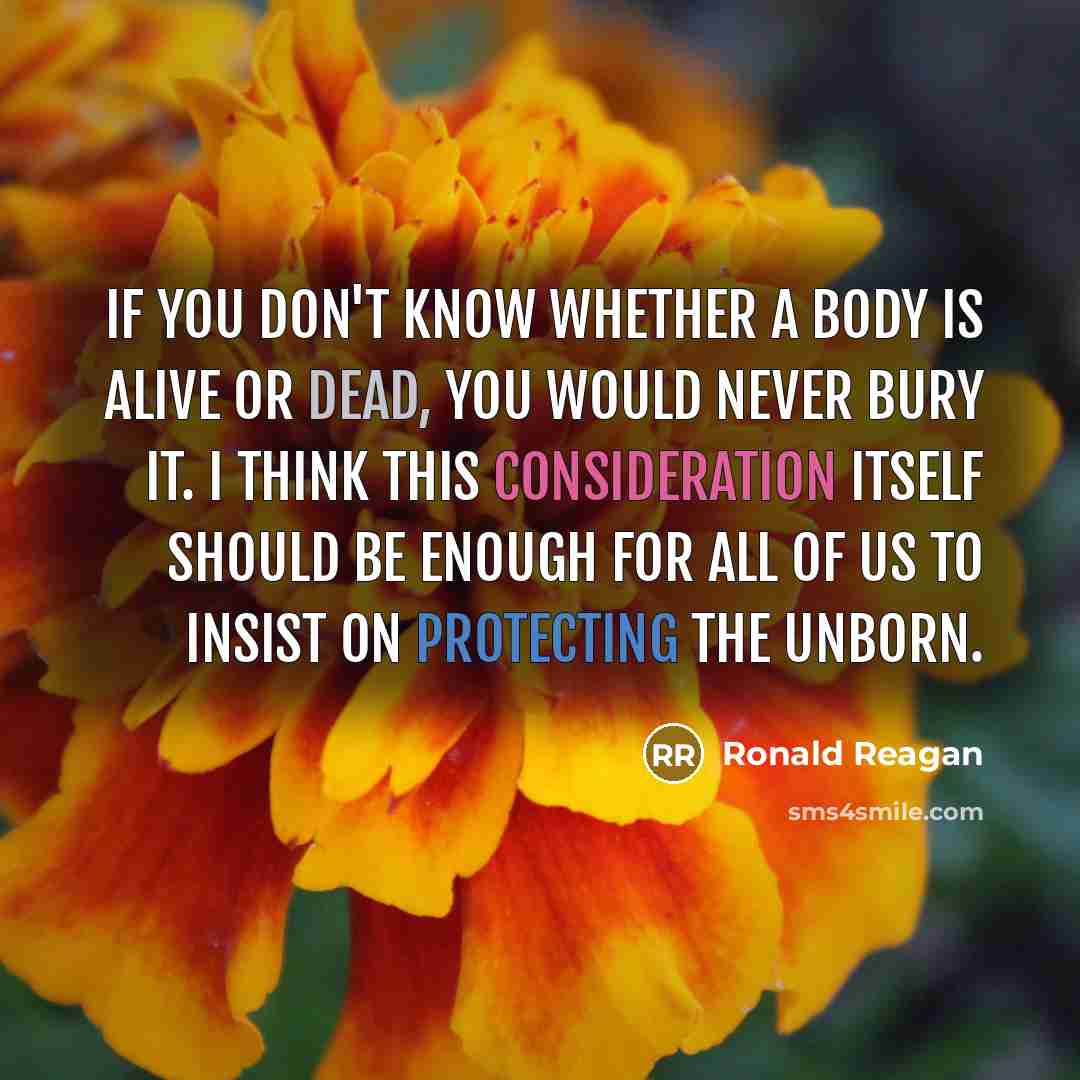 “If you don't know whether a body is alive or dead, you would never bury it. I think this consideration itself should be enough for all of us to insist on protecting the unborn.” quote by Ronald Reagan