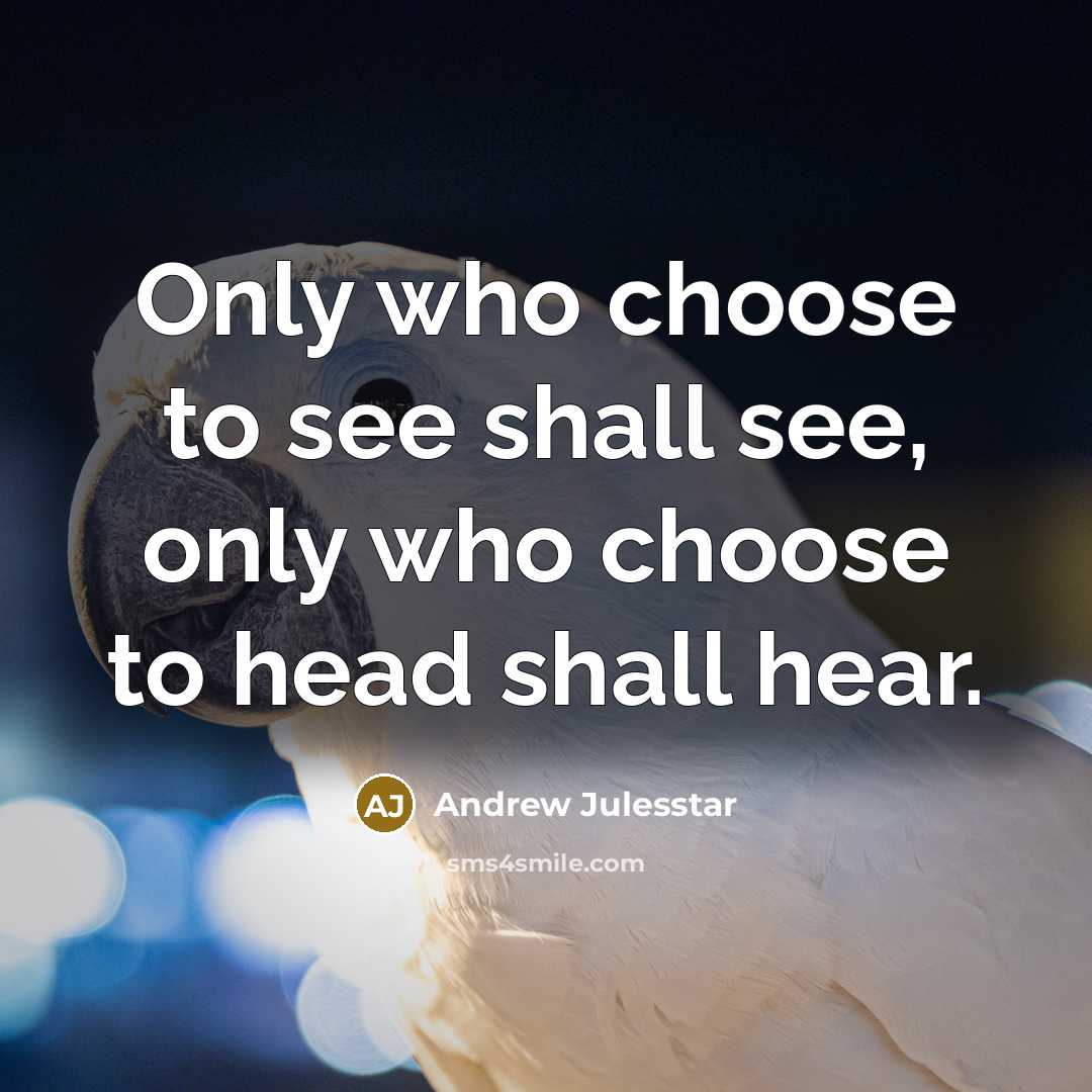 “Only who choose to see shall see, only who choose to head shall hear.” quote by Andrew Julesstar
