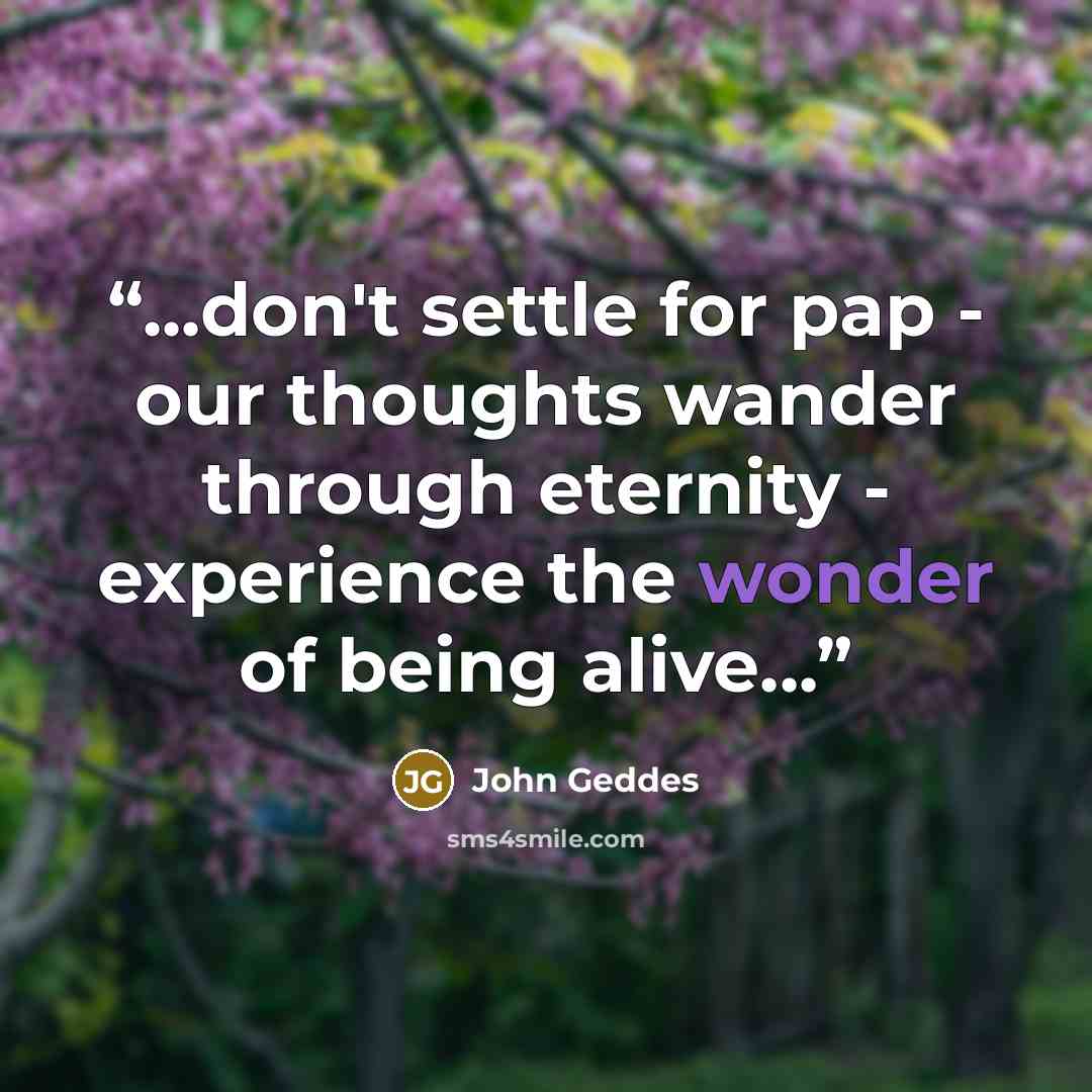 “...don't settle for pap - our thoughts wander through eternity - experience the wonder of being alive...” quote by John Geddes