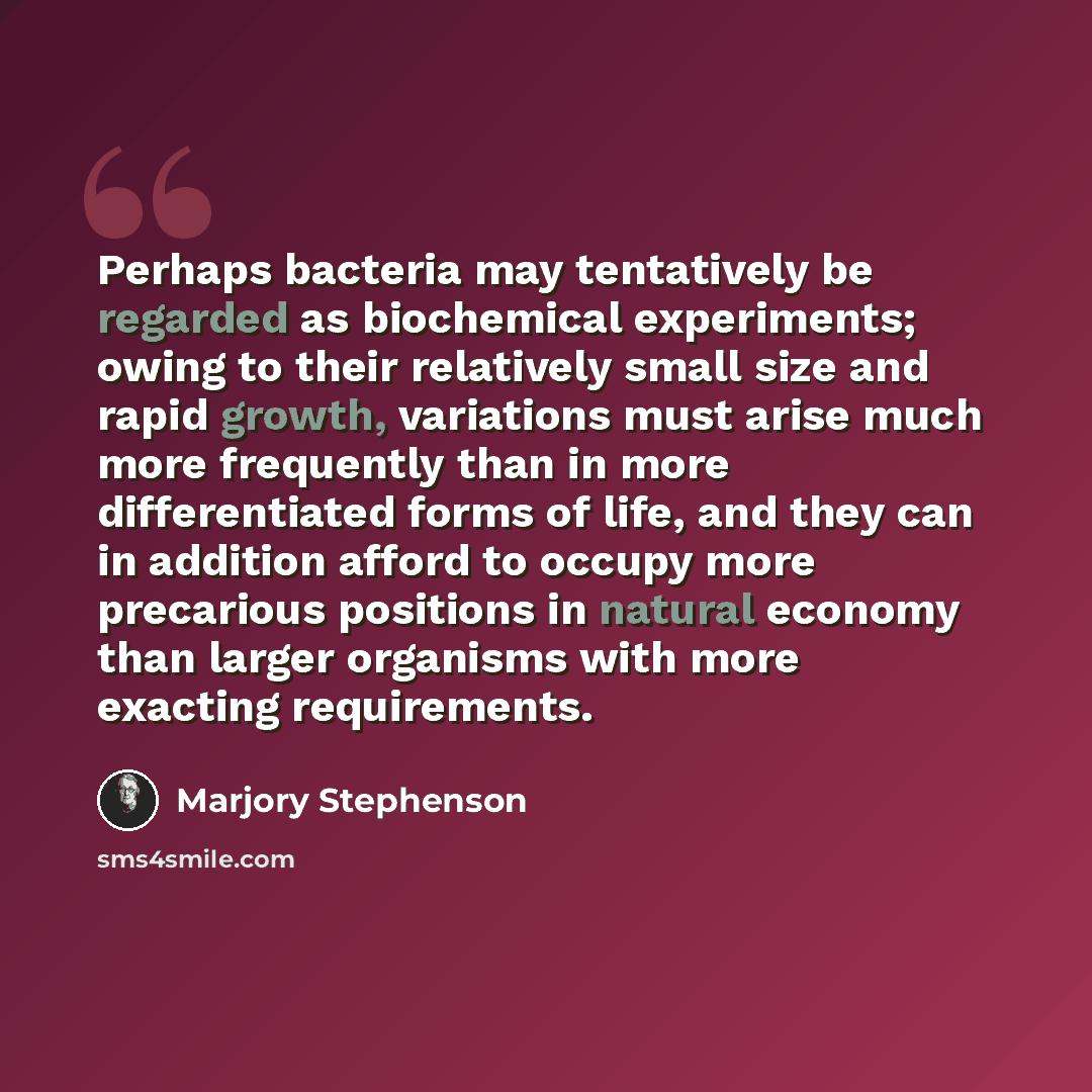 “Perhaps bacteria may tentatively be regarded as biochemical experiments; owing to their relatively small size and rapid growth, variations must arise much more frequently than in more differentiated forms of life, and they can in addition afford to occupy more precarious positions in natural…” quote by Marjory Stephenson