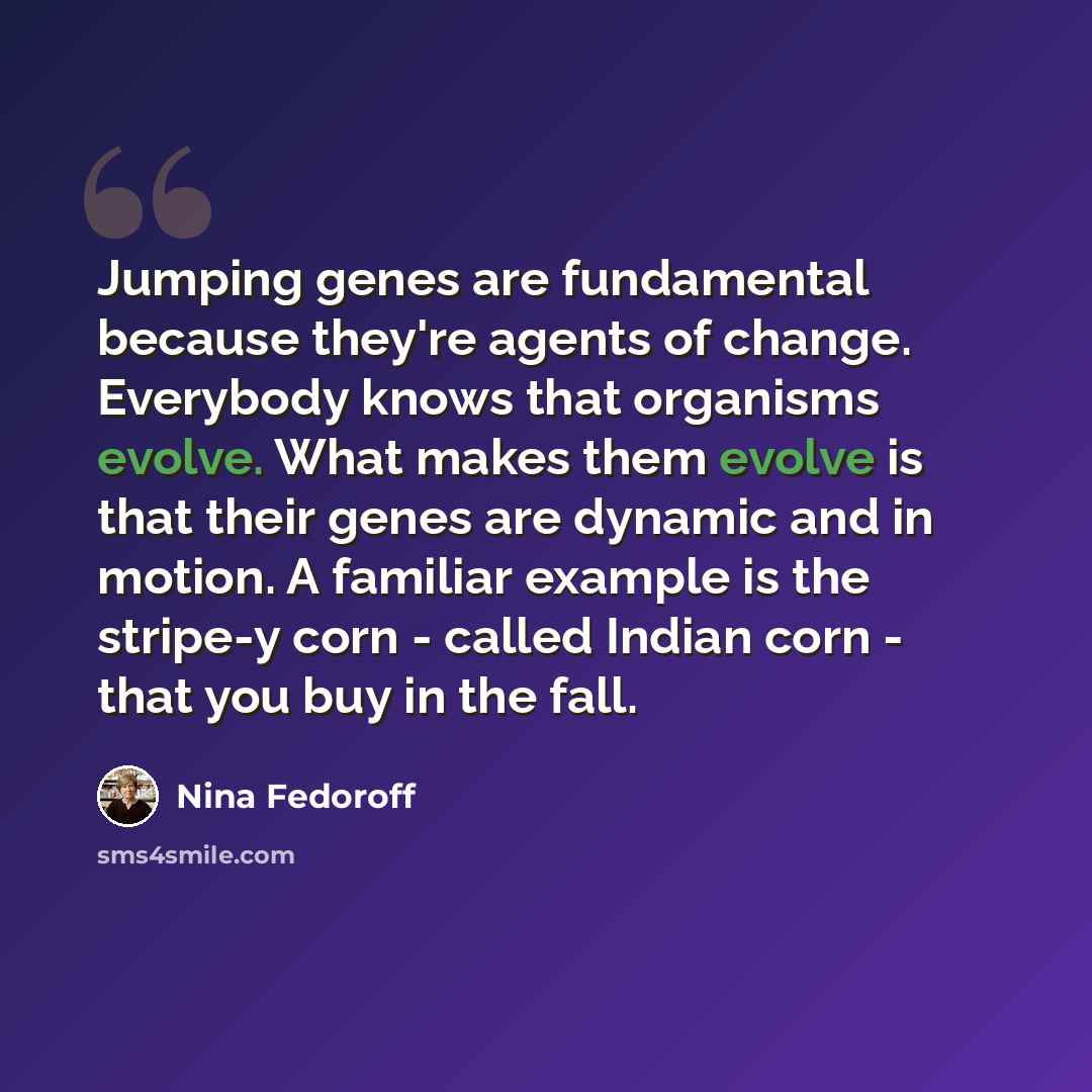 “Jumping genes are fundamental because they're agents of change. Everybody knows that organisms evolve. What makes them evolve is that their genes are dynamic and in motion. A familiar example is the stripe-y corn - called Indian corn - that you buy in the fall.” quote by Nina Fedoroff