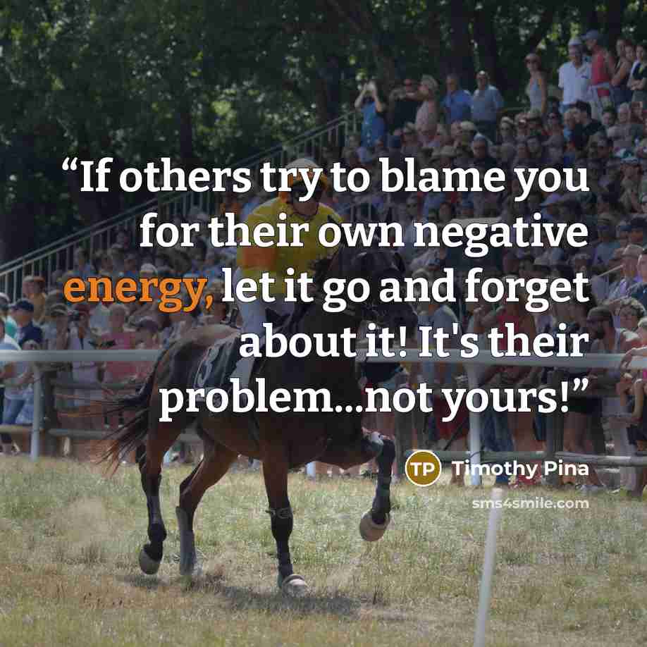 “If others try to blame you for their own negative energy, let it go and forget about it! It's their problem...not yours!” quote by Timothy Pina