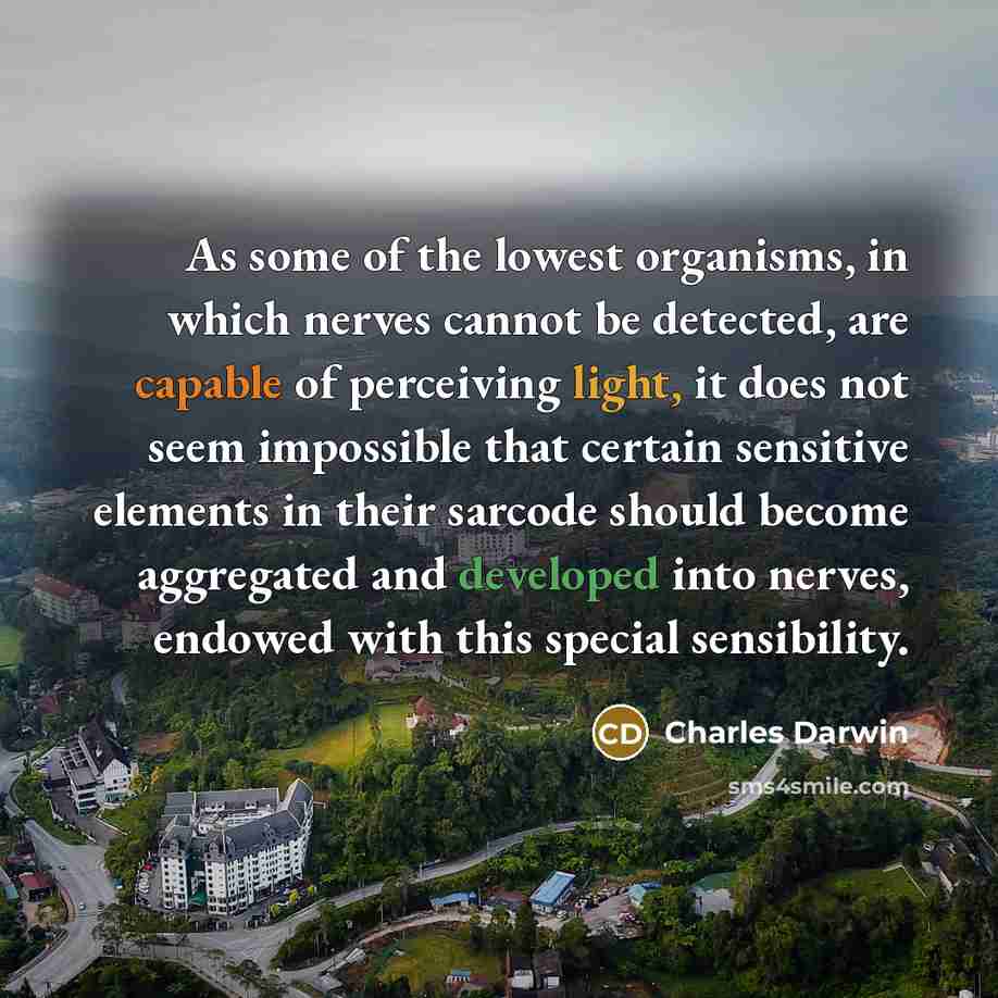 “As some of the lowest organisms, in which nerves cannot be detected, are capable of perceiving light, it does not seem impossible that certain sensitive elements in their sarcode should become aggregated and developed into nerves, endowed with this special sensibility.” quote by Charles Darwin