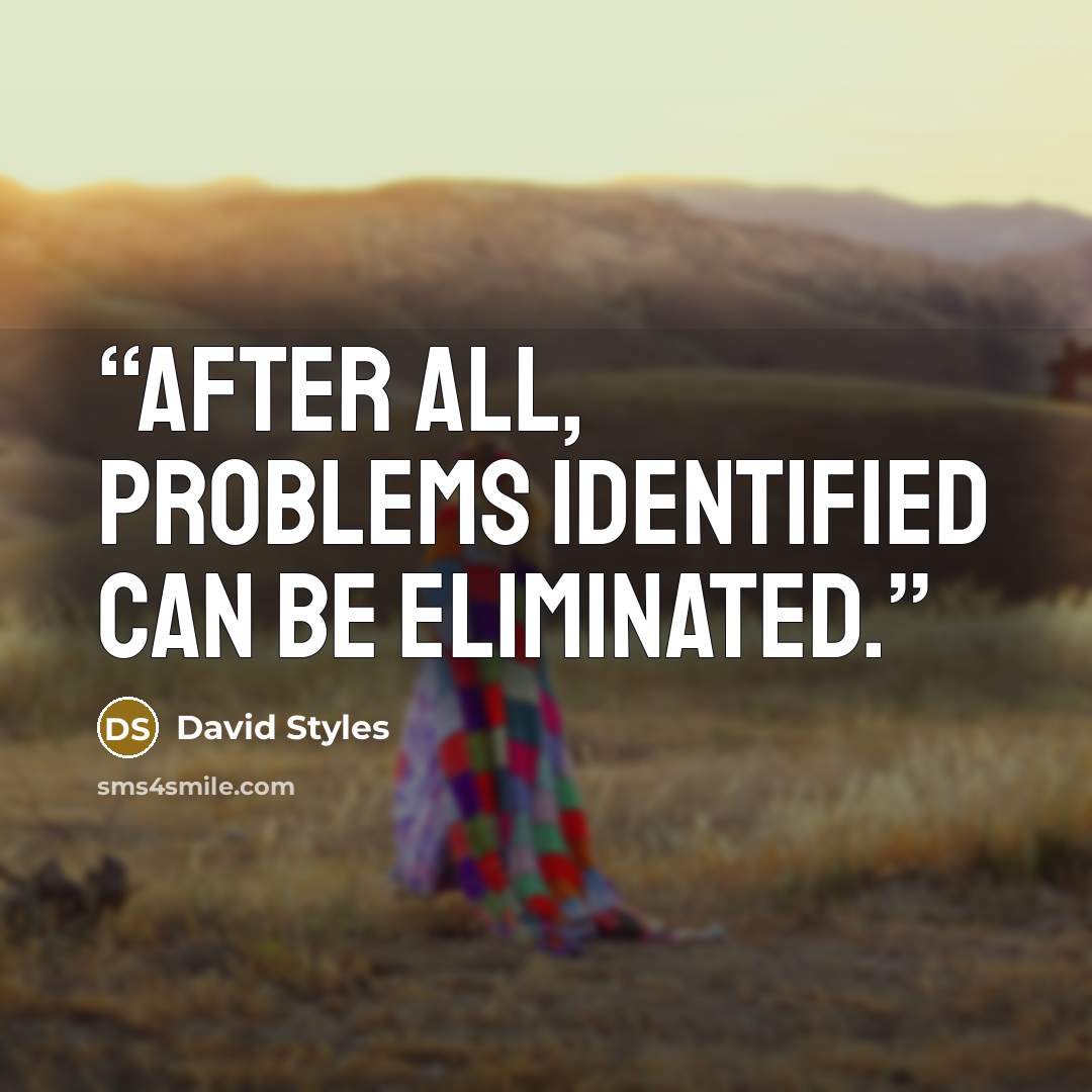 “After all, problems identified can be eliminated.” quote by David Styles