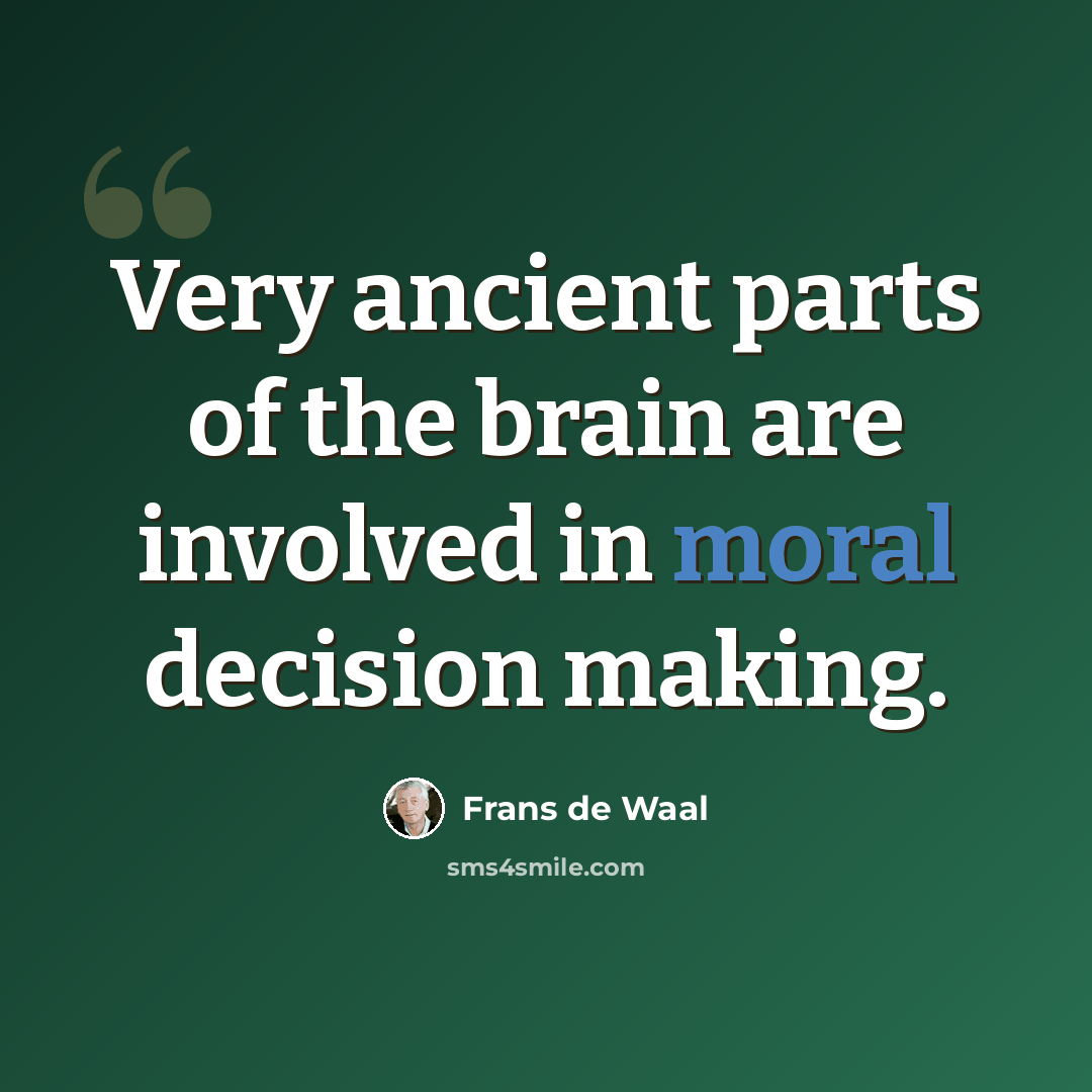 “Very ancient parts of the brain are involved in moral decision making.” quote by Frans de Waal