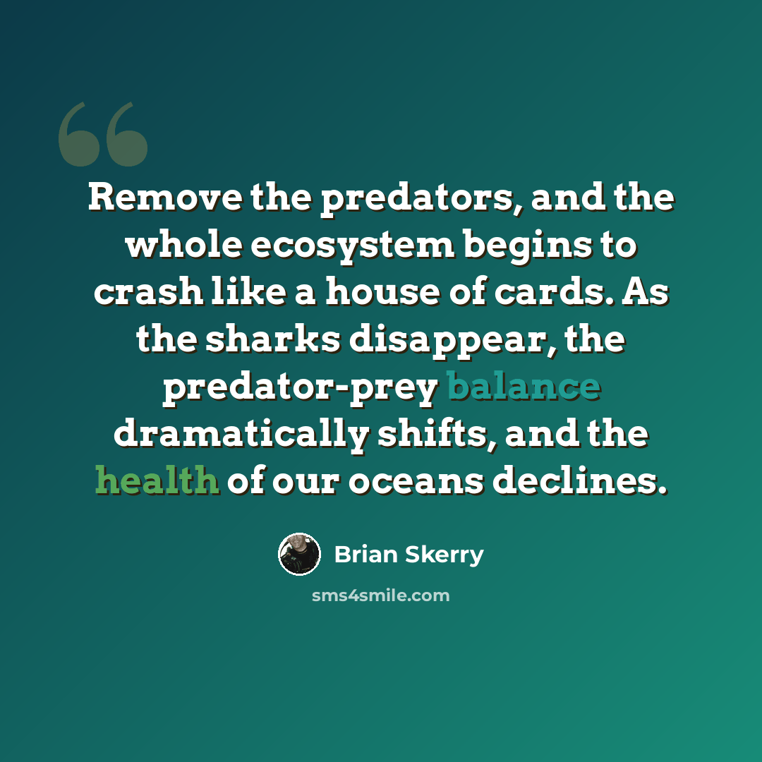 “Remove the predators, and the whole ecosystem begins to crash like a house of cards. As the sharks disappear, the predator-prey balance dramatically shifts, and the health of our oceans declines.” quote by Brian Skerry