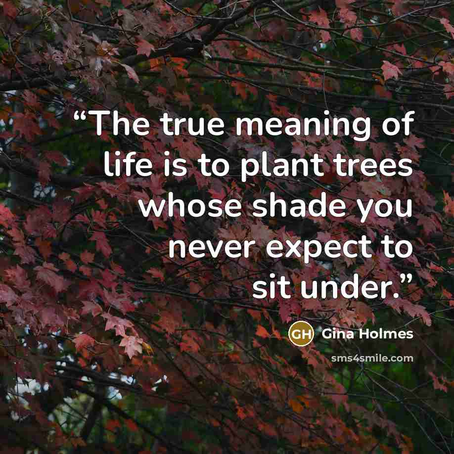 “The true meaning of life is to plant trees whose shade you never expect to sit under.” quote by Gina Holmes