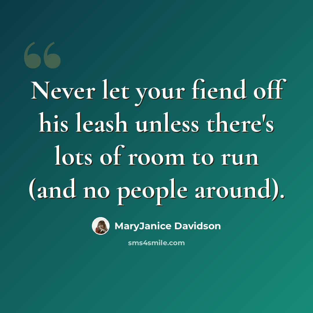 “Never let your fiend off his leash unless there's lots of room to run (and no people around).” quote by MaryJanice Davidson