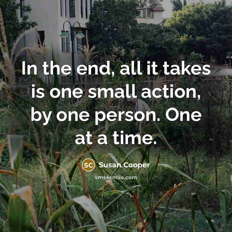 “In the end, all it takes is one small action, by one person. One at a time.” quote by Susan Cooper