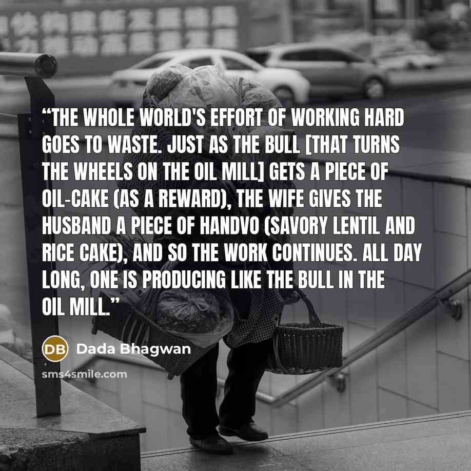 “The whole world's effort of working hard goes to waste. Just as the bull [that turns the wheels on the oil mill] gets a piece of oil-cake (as a reward), the wife gives the husband a piece of handvo (savory lentil and rice cake), and so the work continues. All day long, one is producing like the…” quote by Dada Bhagwan