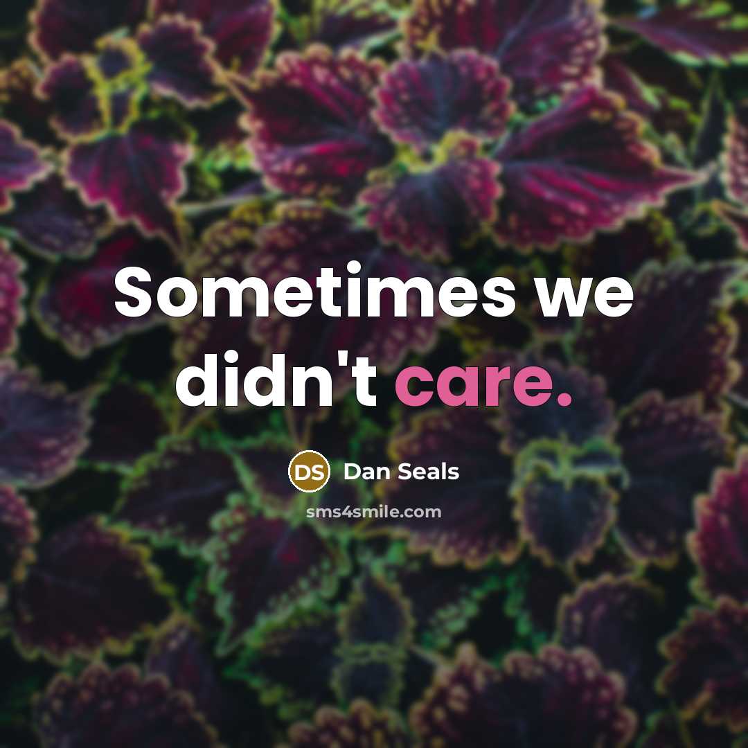 “Sometimes we didn't care.” quote by Dan Seals