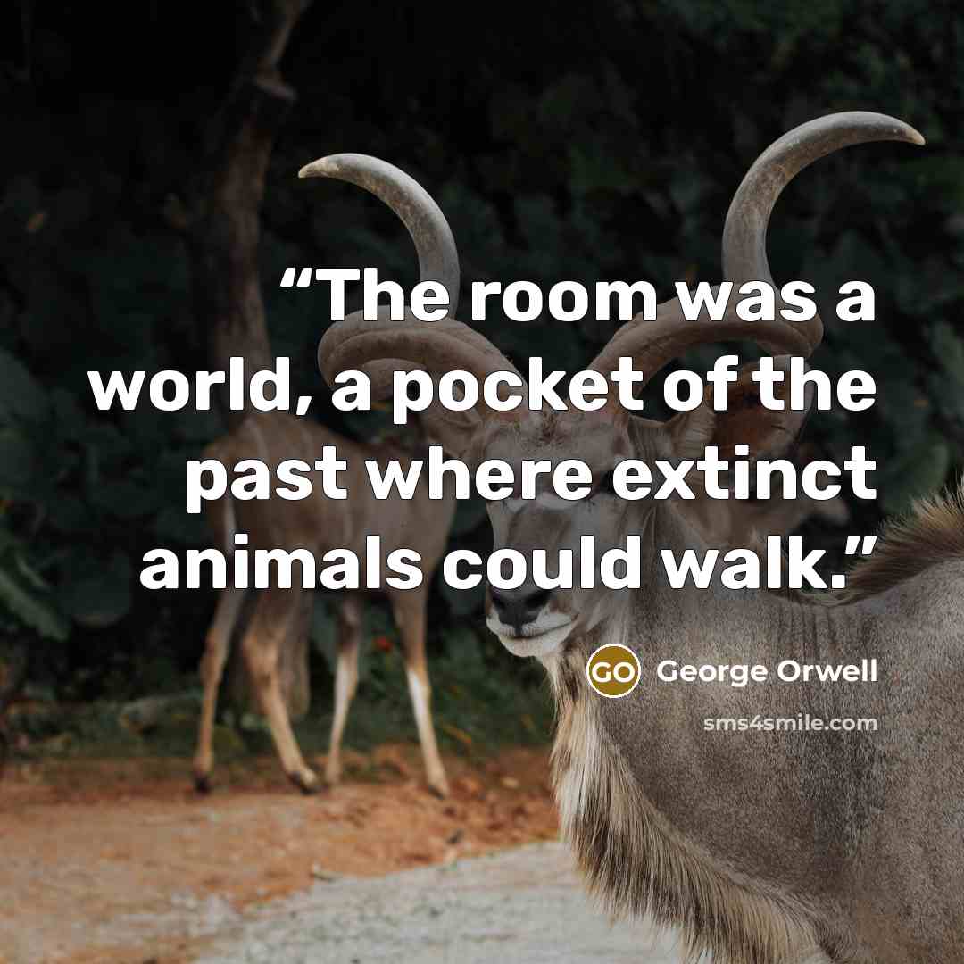 “The room was a world, a pocket of the past where extinct animals could walk.” quote by George Orwell
