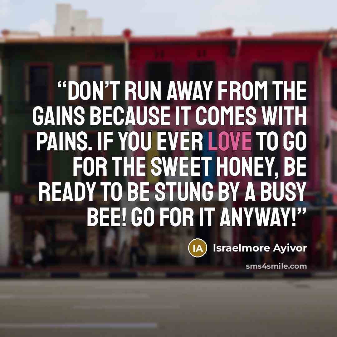 “Don’t run away from the gains because it comes with pains. If you ever love to go for the sweet honey, be ready to be stung by a busy bee! Go for it anyway!” quote by Israelmore Ayivor