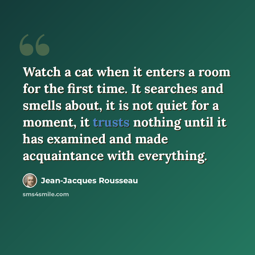 “Watch a cat when it enters a room for the first time. It searches and smells about, it is not quiet for a moment, it trusts nothing until it has examined and made acquaintance with everything.” quote by Jean-Jacques Rousseau