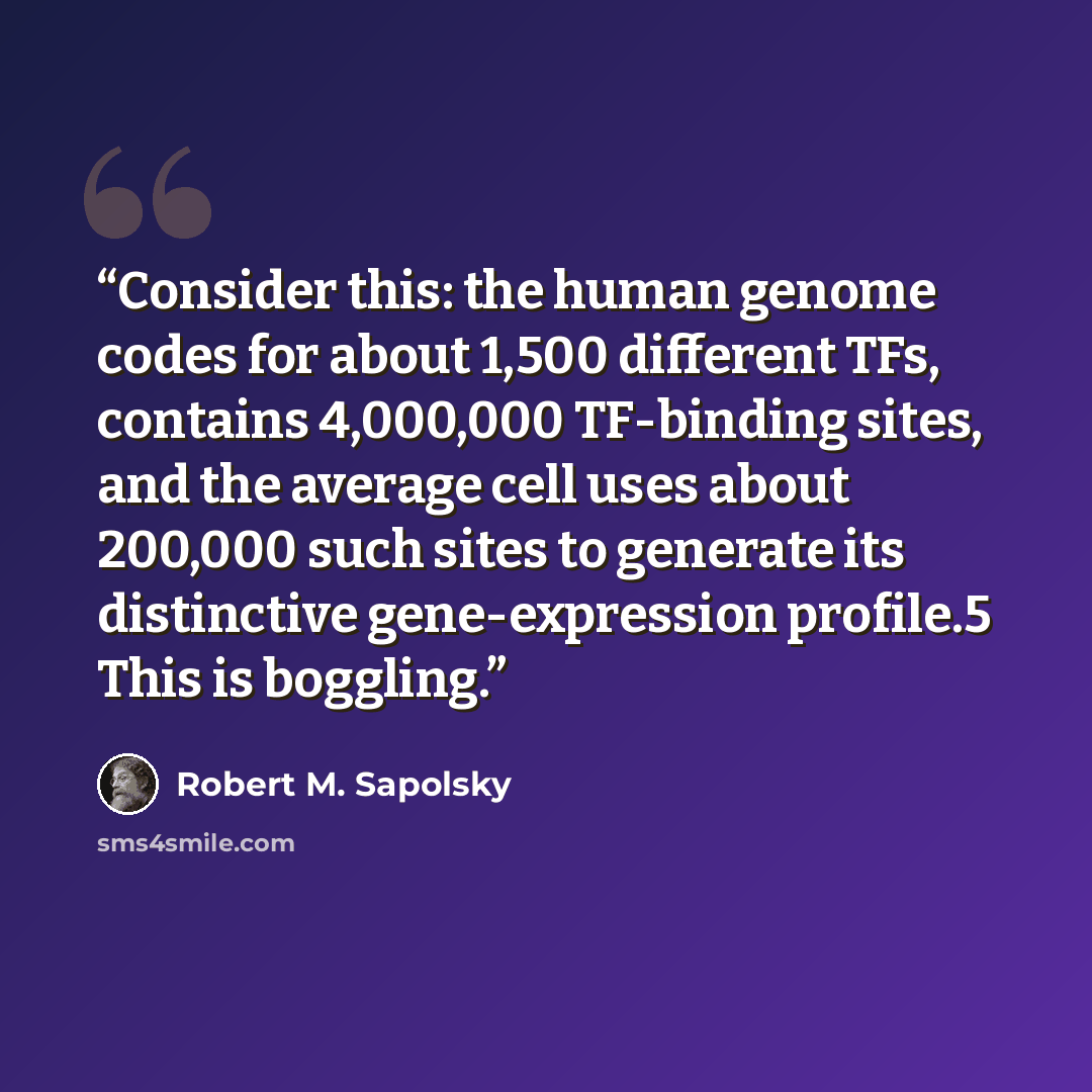 “Consider this: the human genome codes for about 1,500 different TFs, contains 4,000,000 TF-binding sites, and the average cell uses about 200,000 such sites to generate its distinctive gene-expression profile.5 This is boggling.” quote by Robert M. Sapolsky