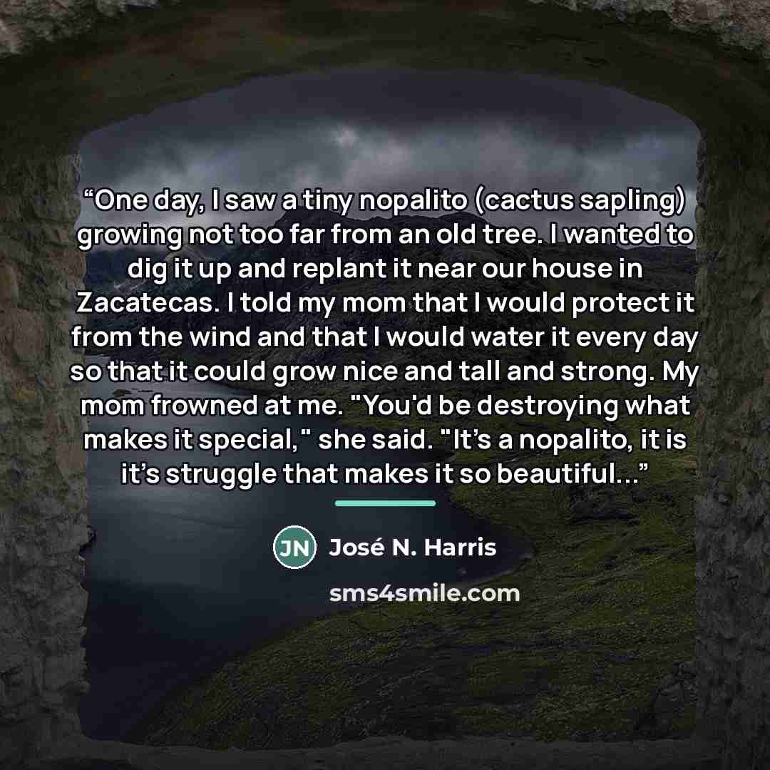 “One day, I saw a tiny nopalito (cactus sapling) growing not too far from an old tree. I wanted to dig it up and replant it near our house in Zacatecas. I told my mom that I would protect it from the wind and that I would water it every day so that it could grow nice and tall and strong. My mom…” quote by José N. Harris