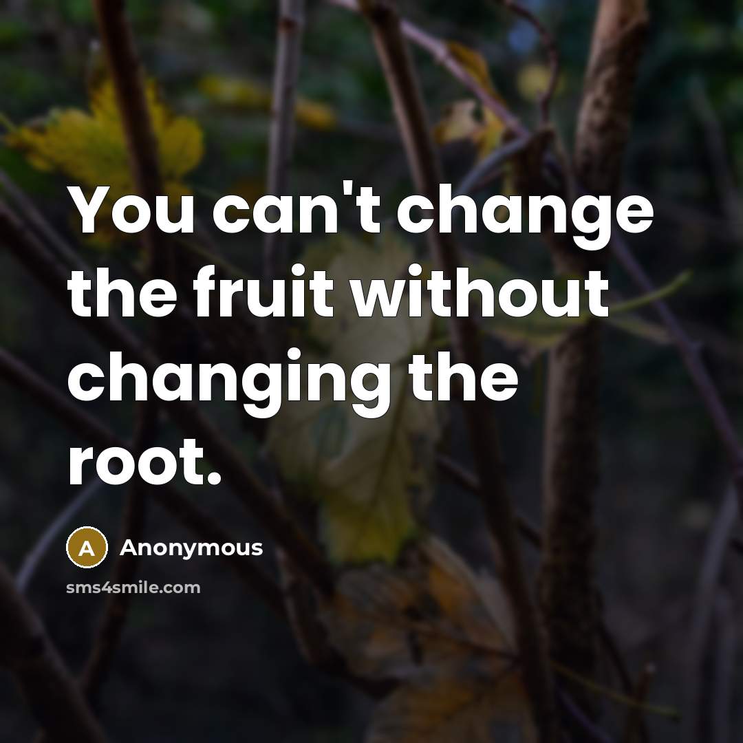 “You can't change the fruit without changing the root.” quote by Anonymous