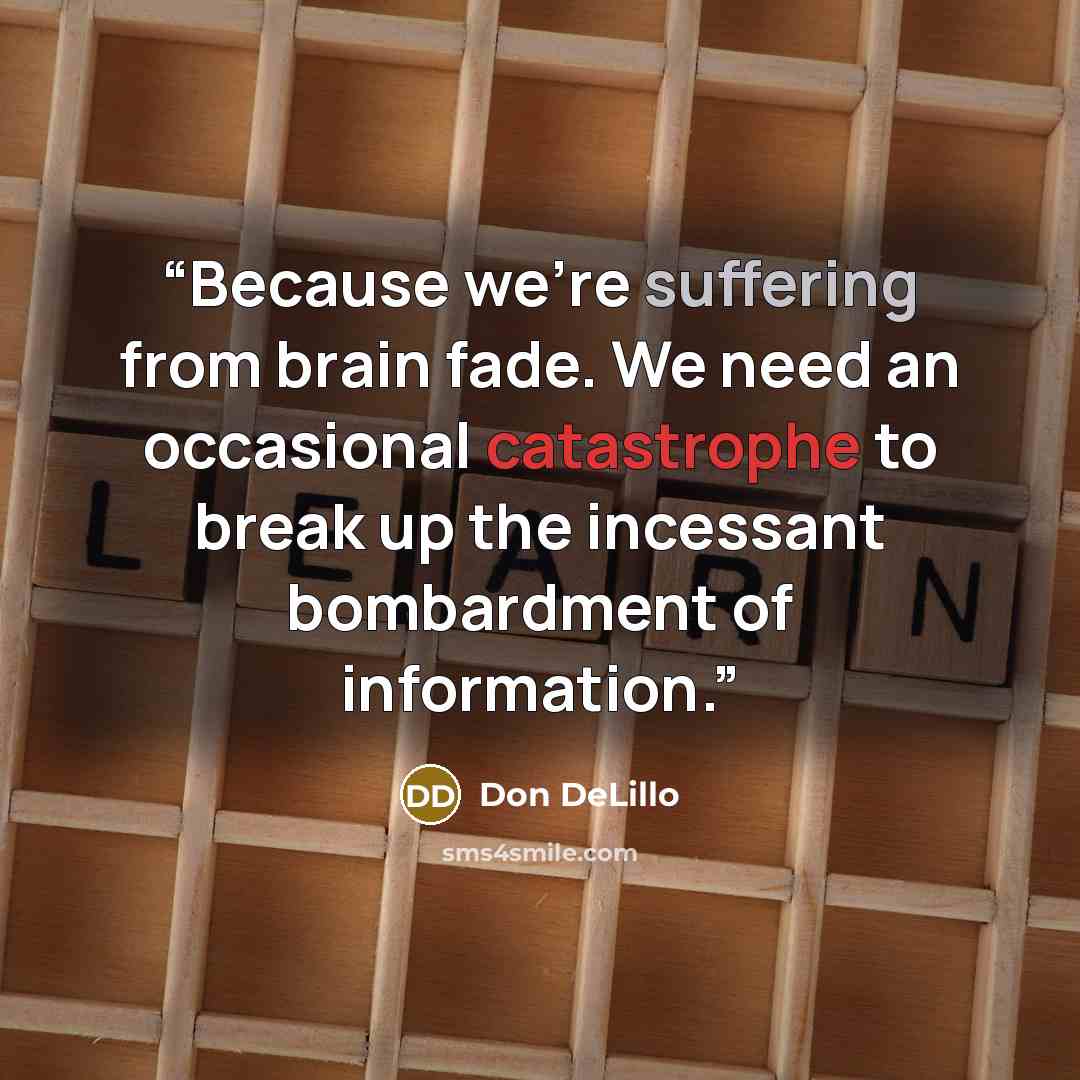“Because we’re suffering from brain fade. We need an occasional catastrophe to break up the incessant bombardment of information.” quote by Don DeLillo