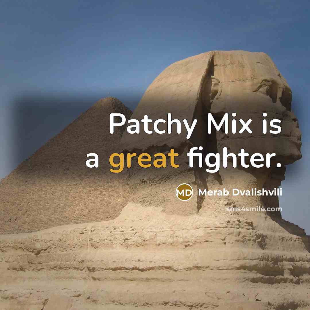 “Patchy Mix is a great fighter.” quote by Merab Dvalishvili