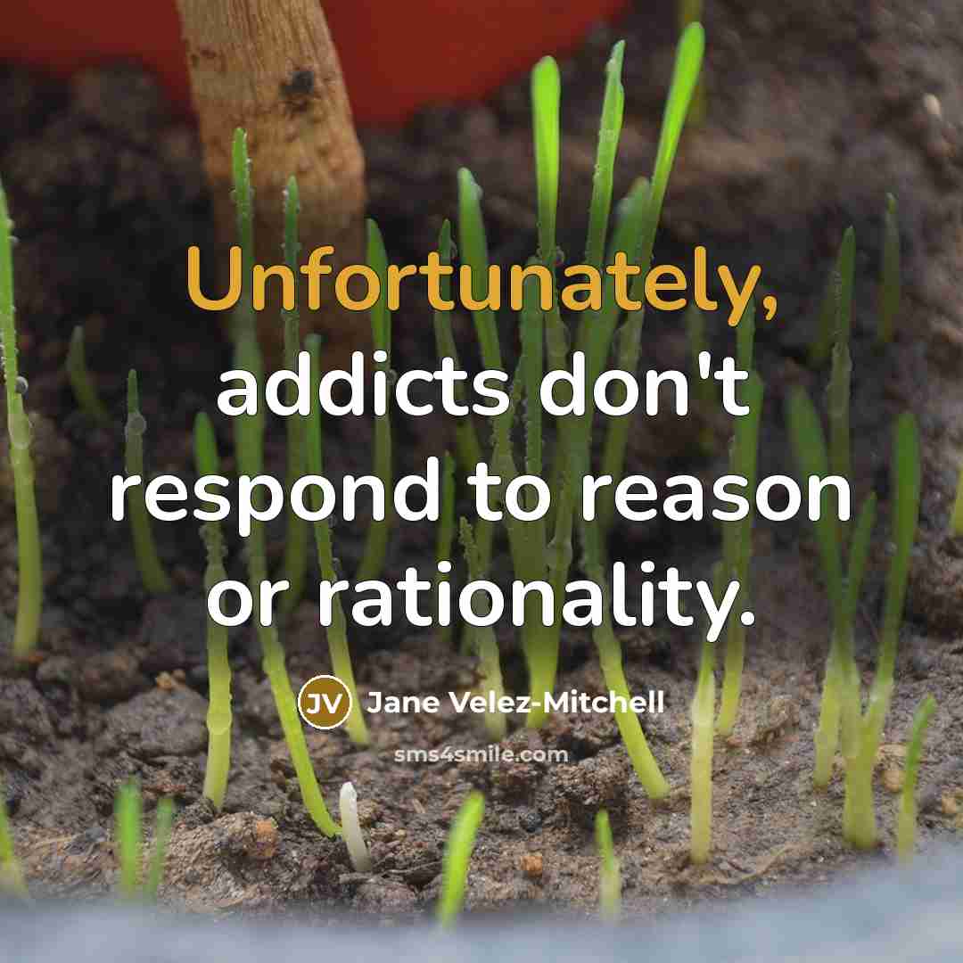 “Unfortunately, addicts don't respond to reason or rationality.” quote by Jane Velez-Mitchell