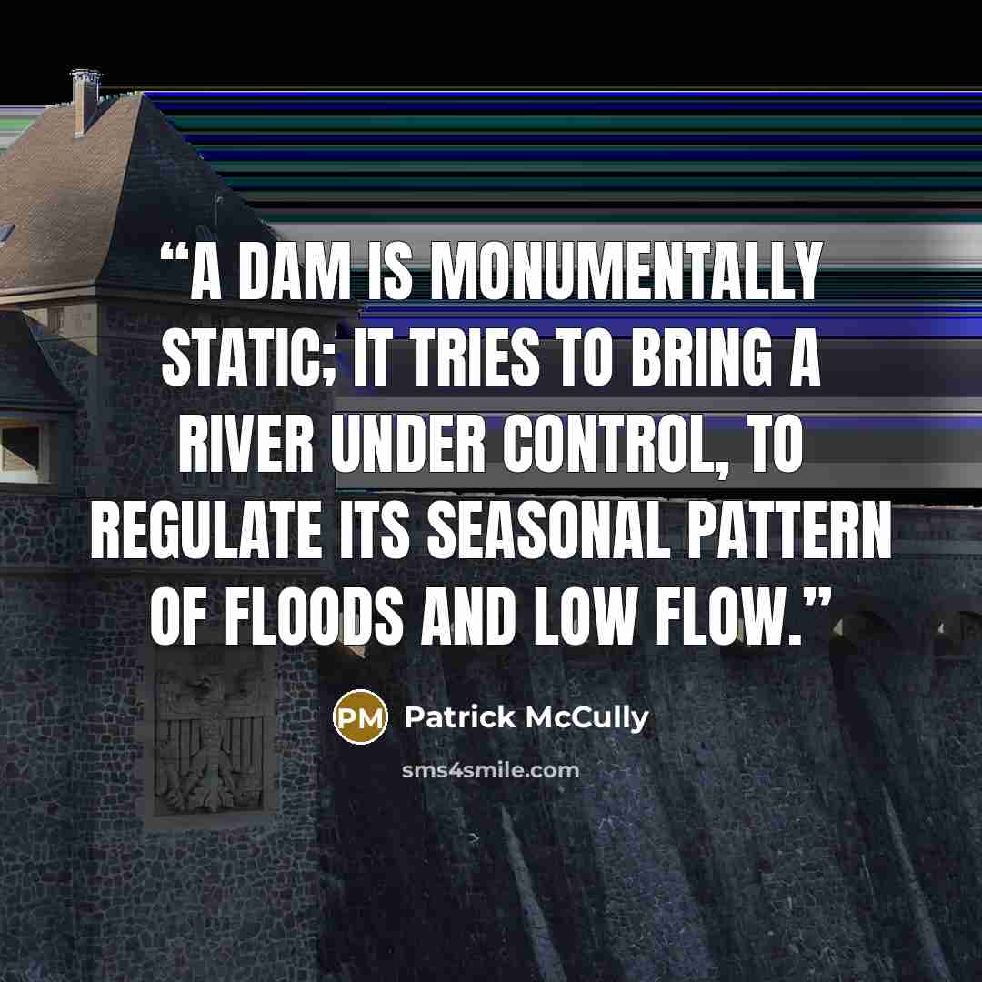 “A dam is monumentally static; it tries to bring a river under control, to regulate its seasonal pattern of floods and low flow.” quote by Patrick McCully