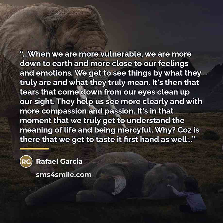 “..:When we are more vulnerable, we are more down to earth and more close to our feelings and emotions. We get to see things by what they truly are and what they truly mean. It's then that tears that come down from our eyes clean up our sight. They help us see more clearly and with more compassion…” quote by Rafael Garcia