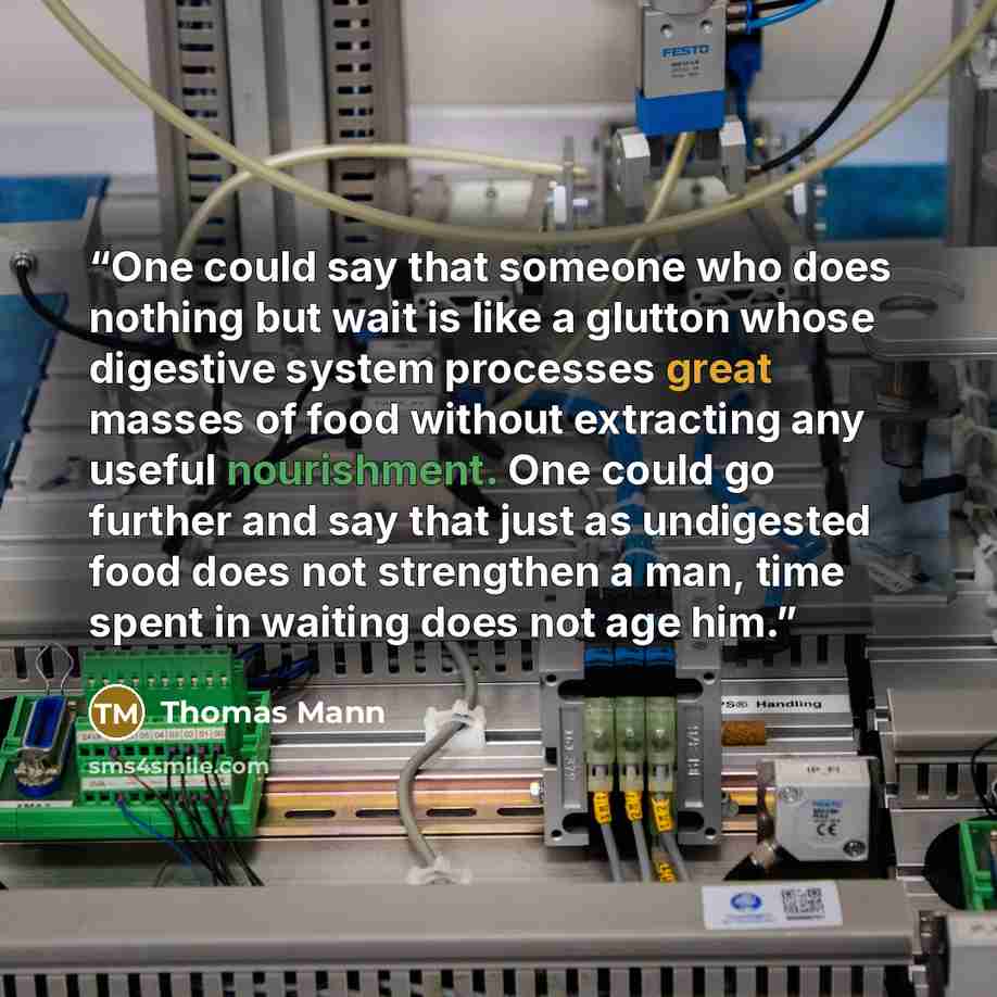 “One could say that someone who does nothing but wait is like a glutton whose digestive system processes great masses of food without extracting any useful nourishment. One could go further and say that just as undigested food does not strengthen a man, time spent in waiting does not age him.” quote by Thomas Mann