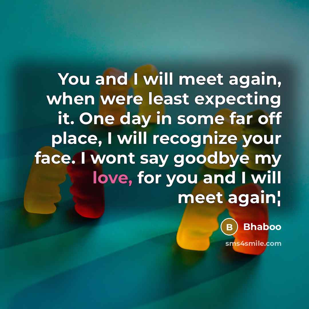 “You and I will meet again, when were least expecting it. One day in some far off place, I will recognize your face. I wont say goodbye my love, for you and I will meet again¦” quote by Bhaboo