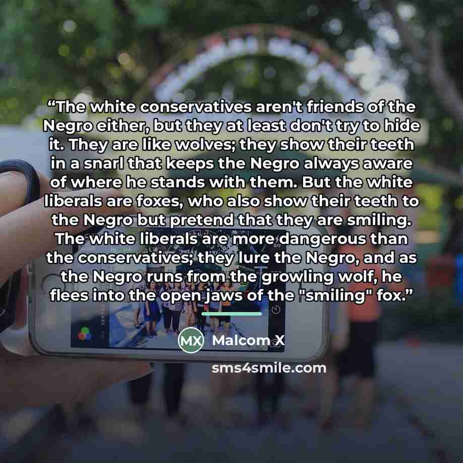 “The white conservatives aren't friends of the Negro either, but they at least don't try to hide it. They are like wolves; they show their teeth in a snarl that keeps the Negro always aware of where he stands with them. But the white liberals are foxes, who also show their teeth to the Negro but…” quote by Malcom X