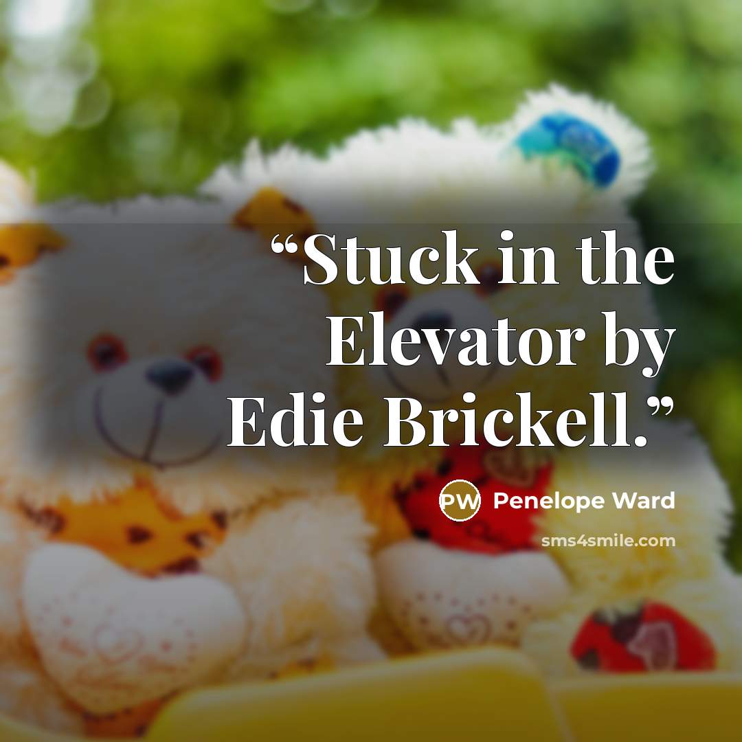 “Stuck in the Elevator by Edie Brickell.” quote by Penelope Ward