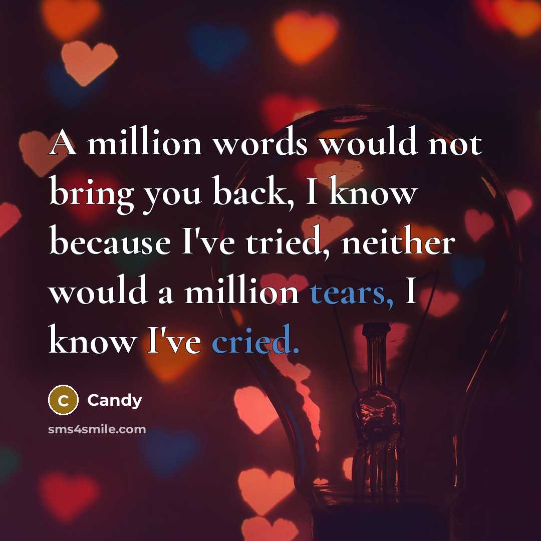 “A million words would not bring you back, I know because I've tried, neither would a million tears, I know I've cried.” quote by CANDY