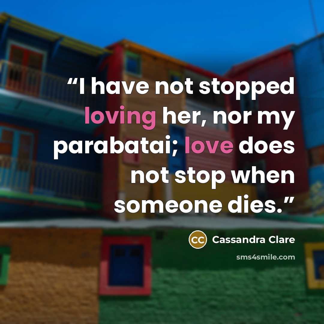 “I have not stopped loving her, nor my parabatai; love does not stop when someone dies.” quote by Cassandra Clare