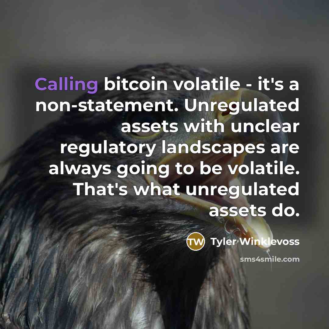 “Calling bitcoin volatile - it's a non-statement. Unregulated assets with unclear regulatory landscapes are always going to be volatile. That's what unregulated assets do.” quote by Tyler Winklevoss